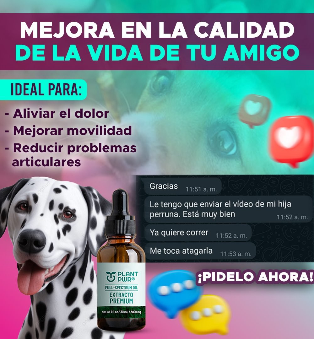 PLANPWR- testi -10
