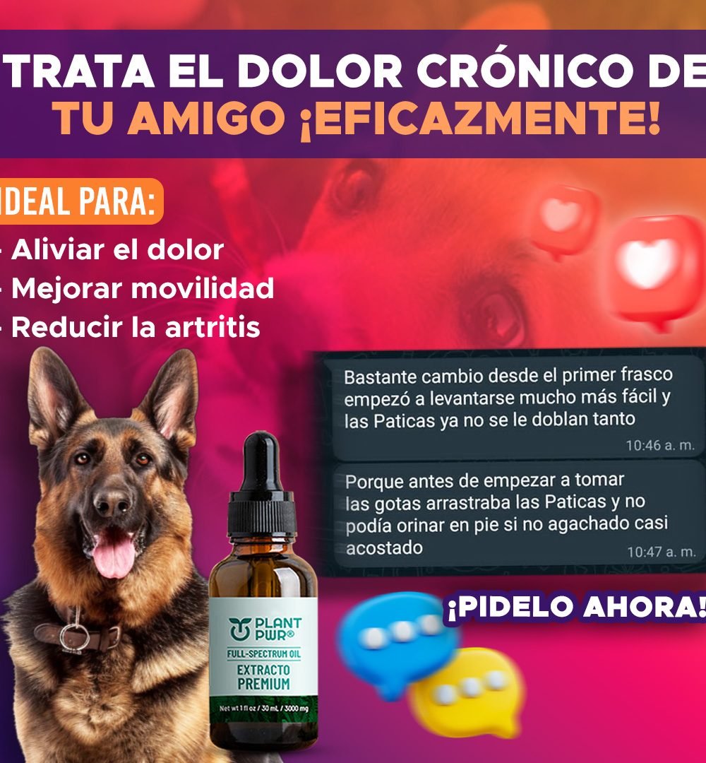 PLANPWR- testi -8